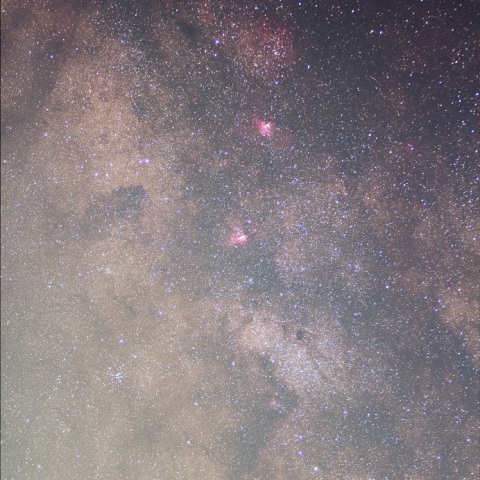 バンビの横顔周辺