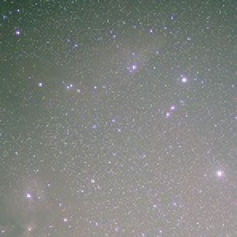 青い馬頭星雲周辺