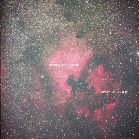 NGC7000とペリカン星雲