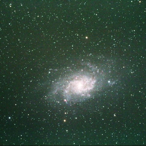 M33