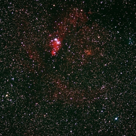 コーン星雲・クリスマスツリー星団