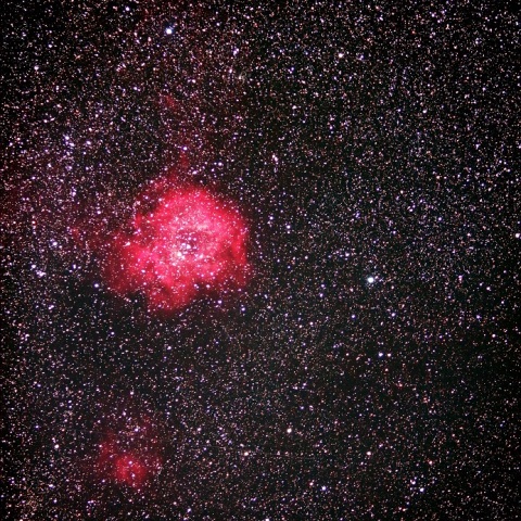 ばら星雲＆つぼみ星雲