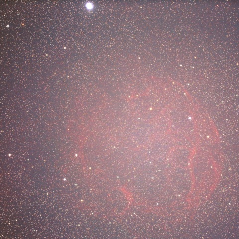 Sh2-240（スパゲティ星雲）