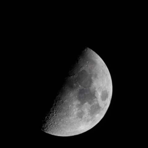 2021/01/21上弦月齢8.2