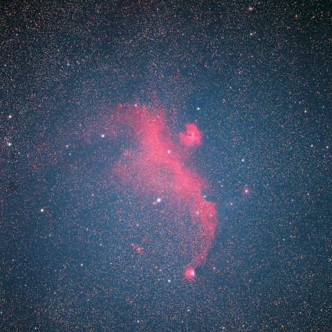 かもめ星雲（IC2177）