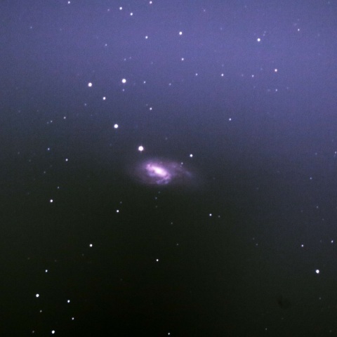 M66