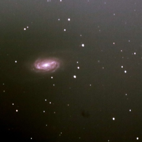 NGC2905