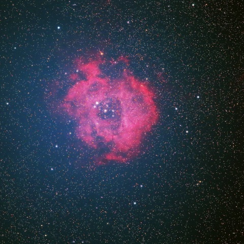 薔薇星雲（NGC2237）