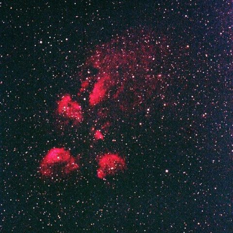 出目金星雲（NGC6334）