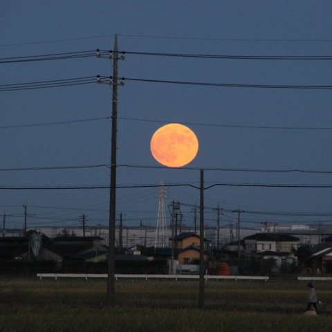 2021/10/20満月（月齢13.9）