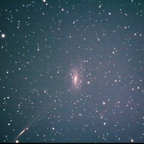 NGC925(さんかく座）