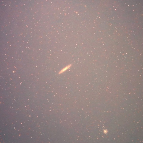 NGC253＆NGC288
