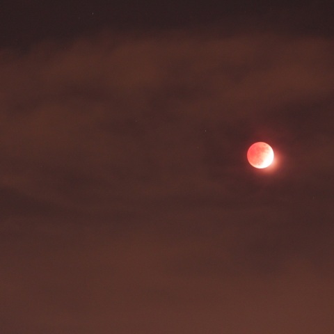 2021/11/19部分月食＆すばる