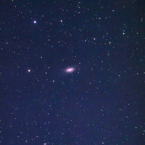 NGC2903（しし座渦巻銀河）