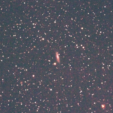 NGC1003