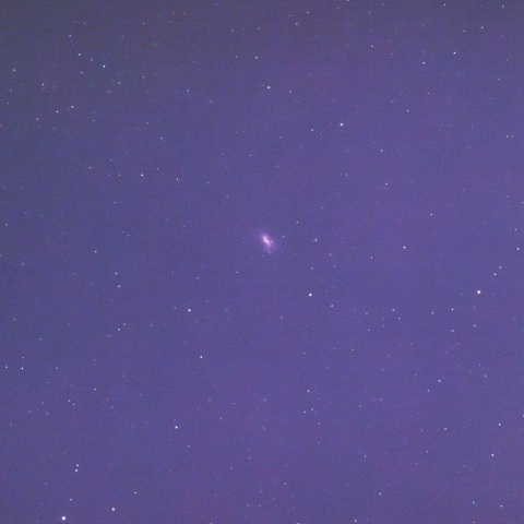 NGC4449(不規則銀河）