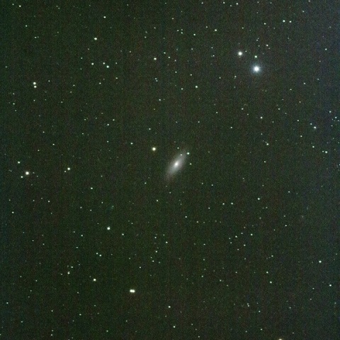 NGC2841銀河