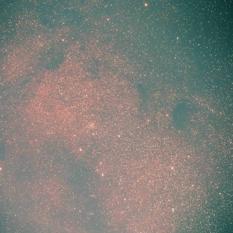 バンビの横顔M24（光害地）