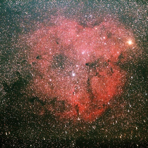 IC1396