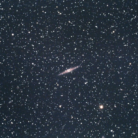 NGC891
