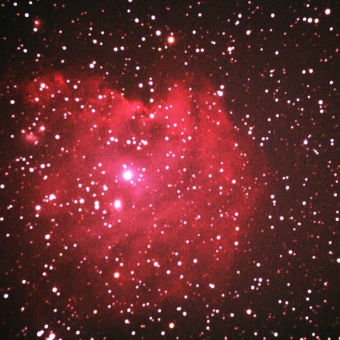 ＮＧＣ２１７４（モンキー星雲）