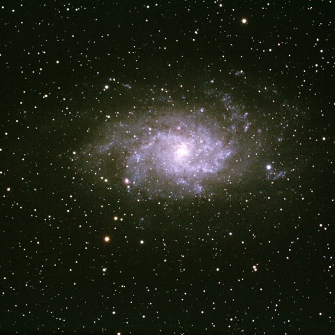 M33