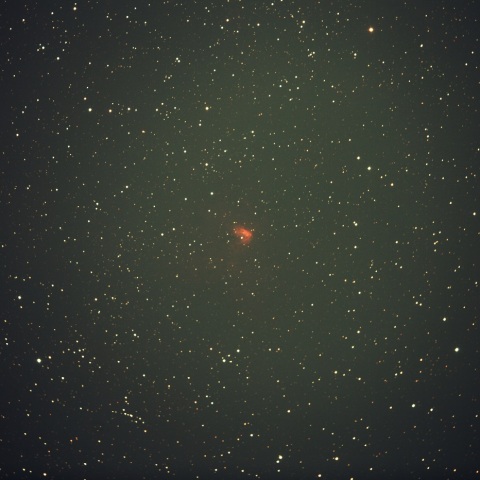 NGC1491