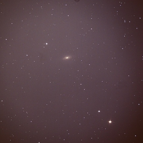 NGC3521