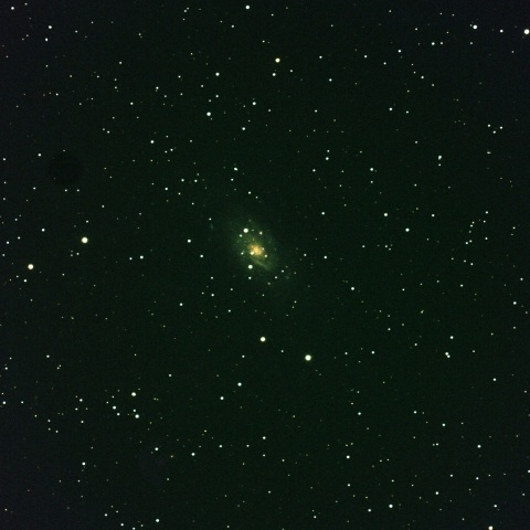 NGC2403渦巻き銀河