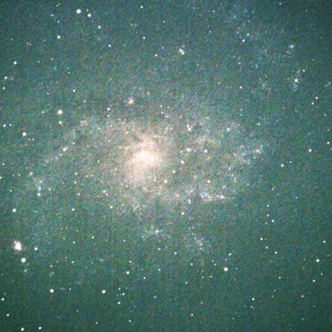 M33
