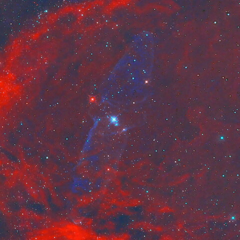 ダイオウイカ星雲