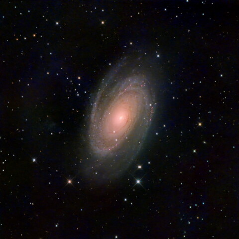 M81