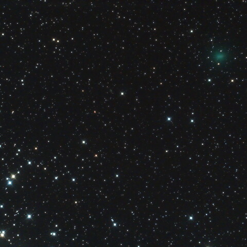 プレセぺ星団に接近した 62P紫金山第一彗星