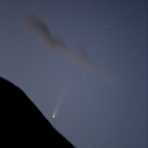 沈みゆくC2025A6レモン彗星