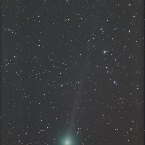 C/2014 Q2 (Lovejoy)