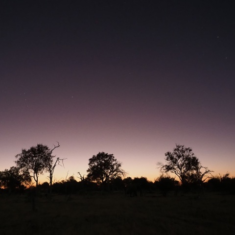 エアロゾル薄明