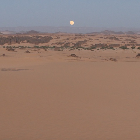 サハラに昇るスーパームーン