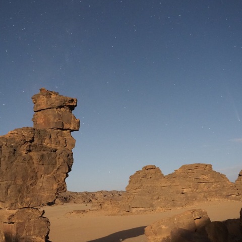 チキンの見つめる彗星