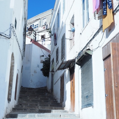 カスバの月と猫Ⅰ