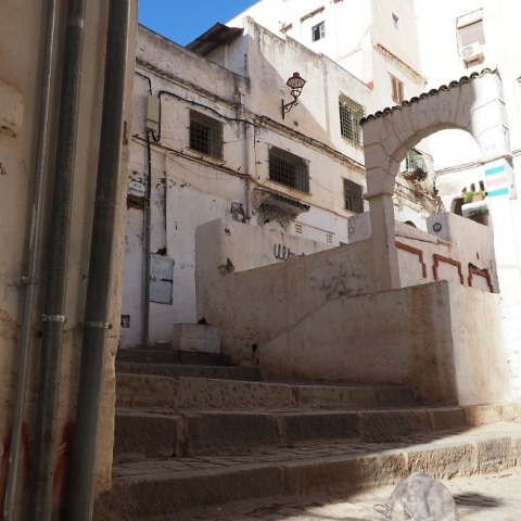 カスバの月と猫Ⅱ