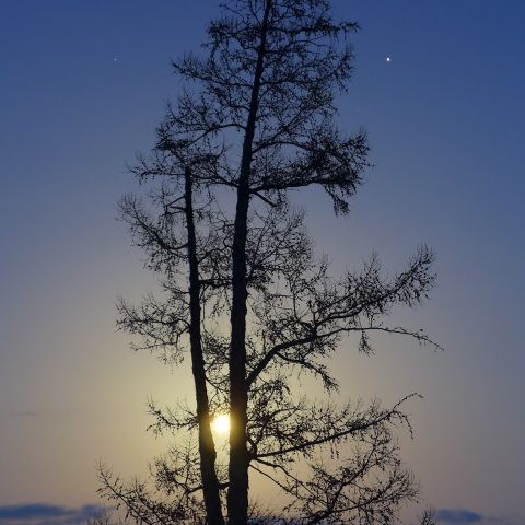 幹間の満月と木星
