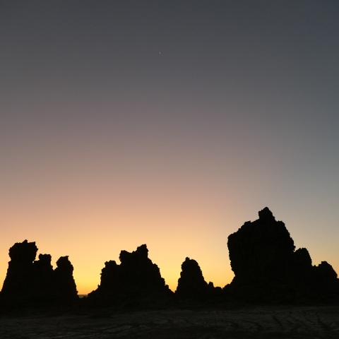 猿の惑星・かぎろひの金星