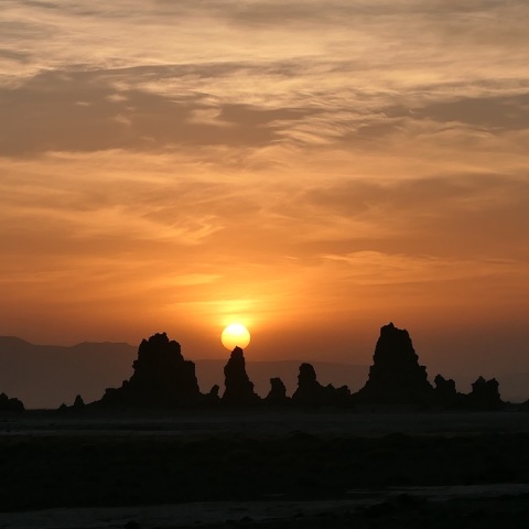 猿の惑星・サンセット