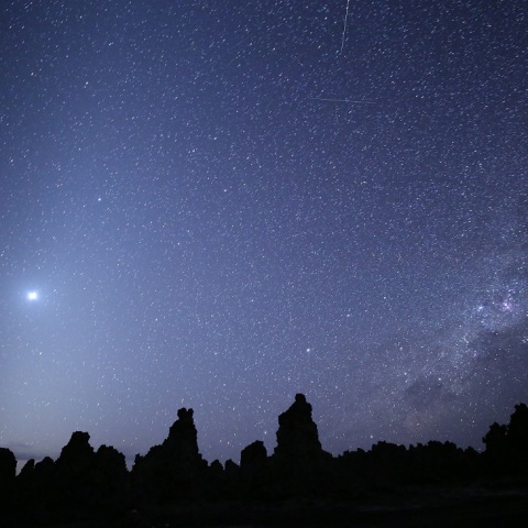 猿の惑星・薄明のオールスター