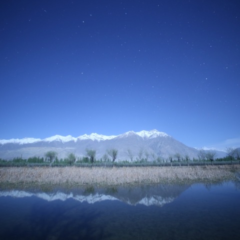 オアシスのリフレクション