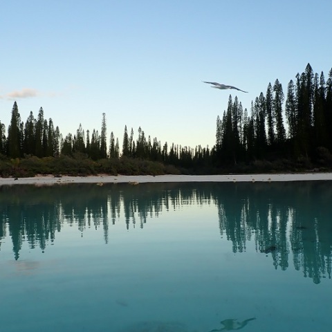 残月と水面のドラマ
