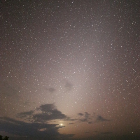 Zodiacal Light ＆ Venus Road