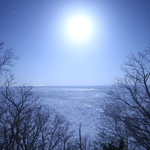 流氷原照らす上弦の月