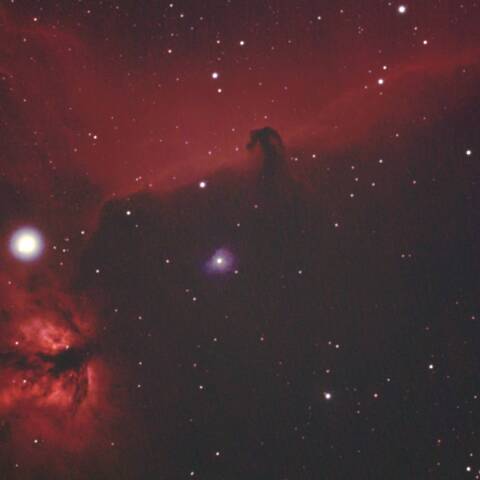 馬頭星雲/燃える木