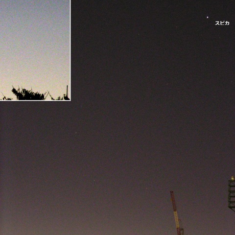 コンデジで撮ったアイソン彗星（4）